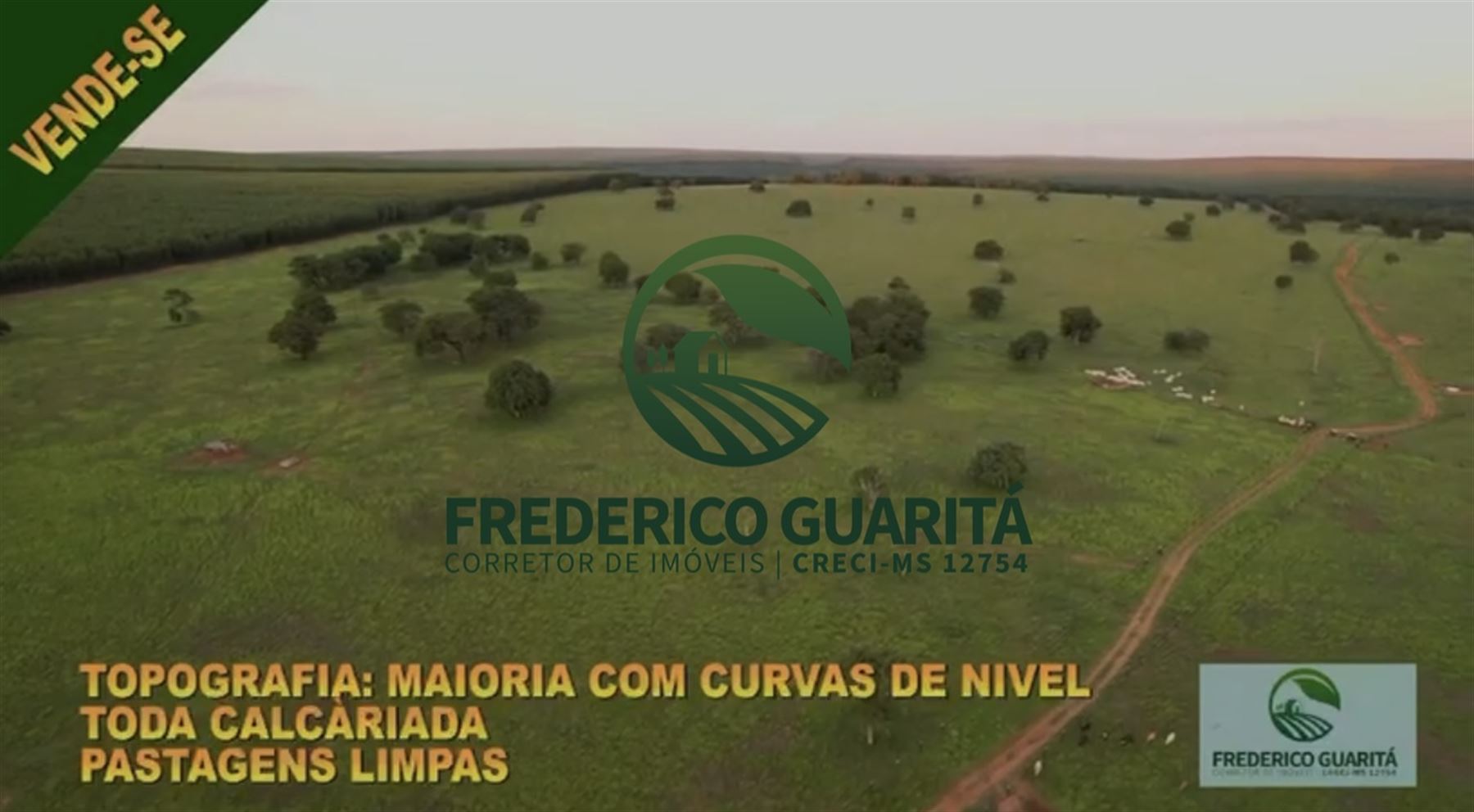 290 HECTARES - RIBAS DO RIO PARDO/MS