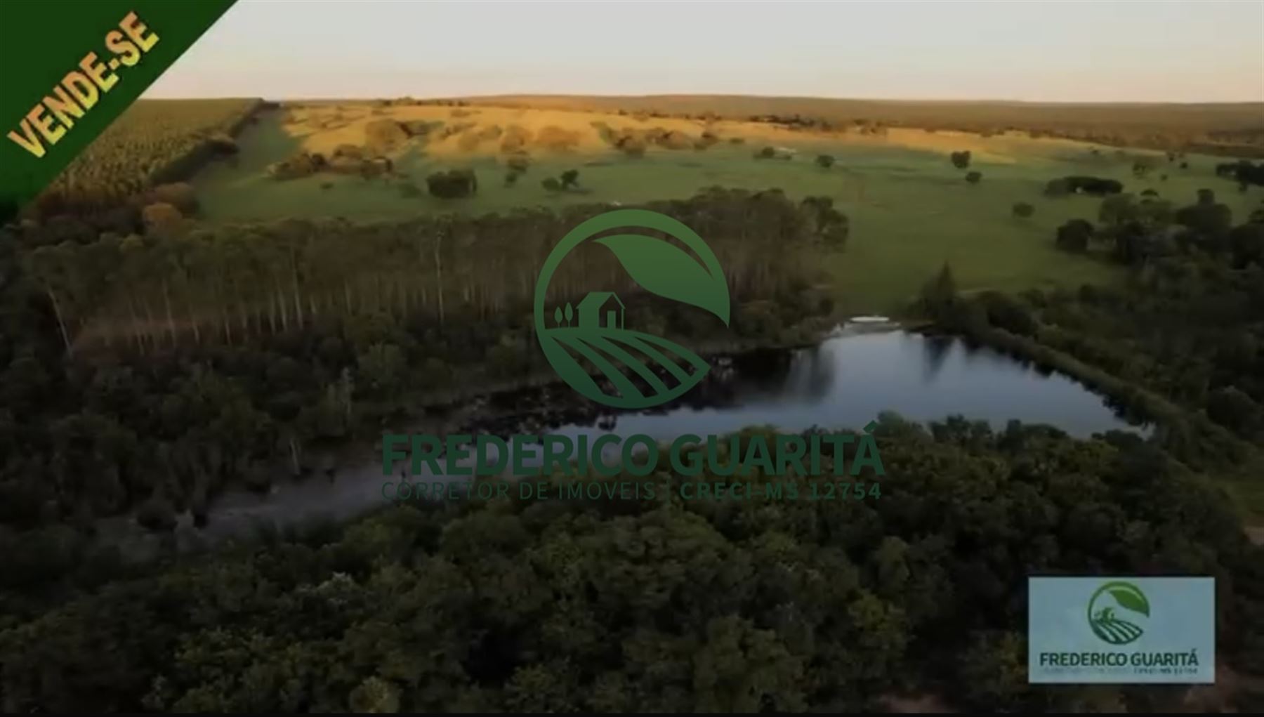 290 HECTARES - RIBAS DO RIO PARDO/MS