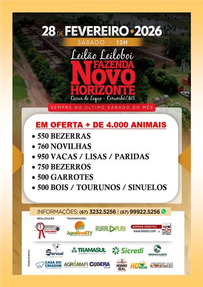 151º Leilão Leiloboi Fazenda Novo Horizonte