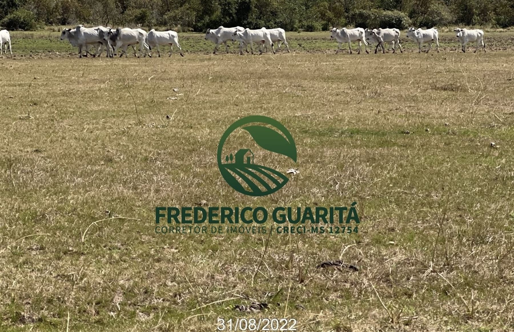 6.078 HECTARES - PANTANAL AQUIDAUANA/MS