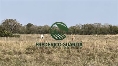 6.078 HECTARES - PANTANAL AQUIDAUANA/MS