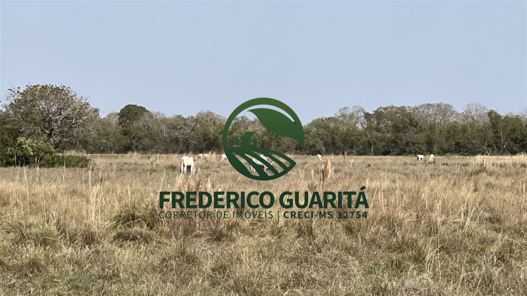 6.078 HECTARES - PANTANAL AQUIDAUANA/MS