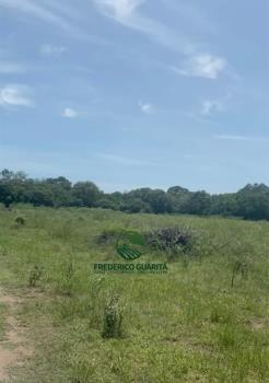 10.400 Hectares, PANTANAL DA NHECOLANDIA/MS